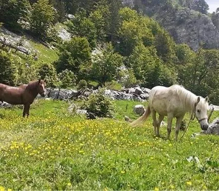 Skender Selimaj Vendégház 3*