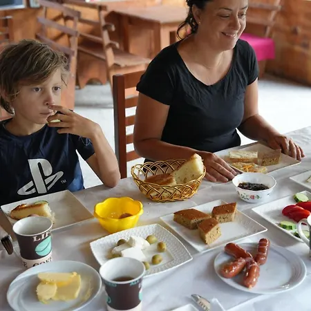 Skender Selimaj Guest house